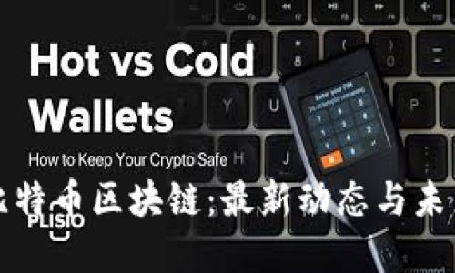 解讀比特幣區(qū)塊鏈:最新動(dòng)態(tài)與未來趨勢