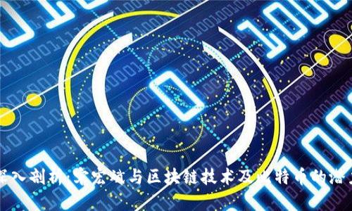 深入剖析:宋宏斌與區(qū)塊鏈技術(shù)及比特幣的潛力