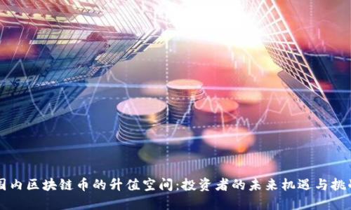 國內區(qū)塊鏈幣的升值空間：投資者的未來機遇與挑戰(zhàn)