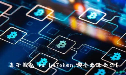 麥子錢包 vs imToken：哪個更適合你？