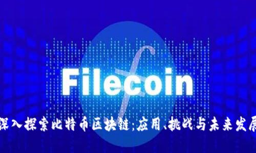 深入探索比特幣區(qū)塊鏈：應用、挑戰(zhàn)與未來發(fā)展